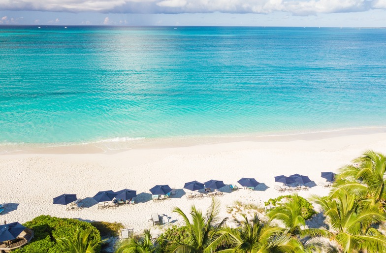 a beach with umbrellas and palm trees