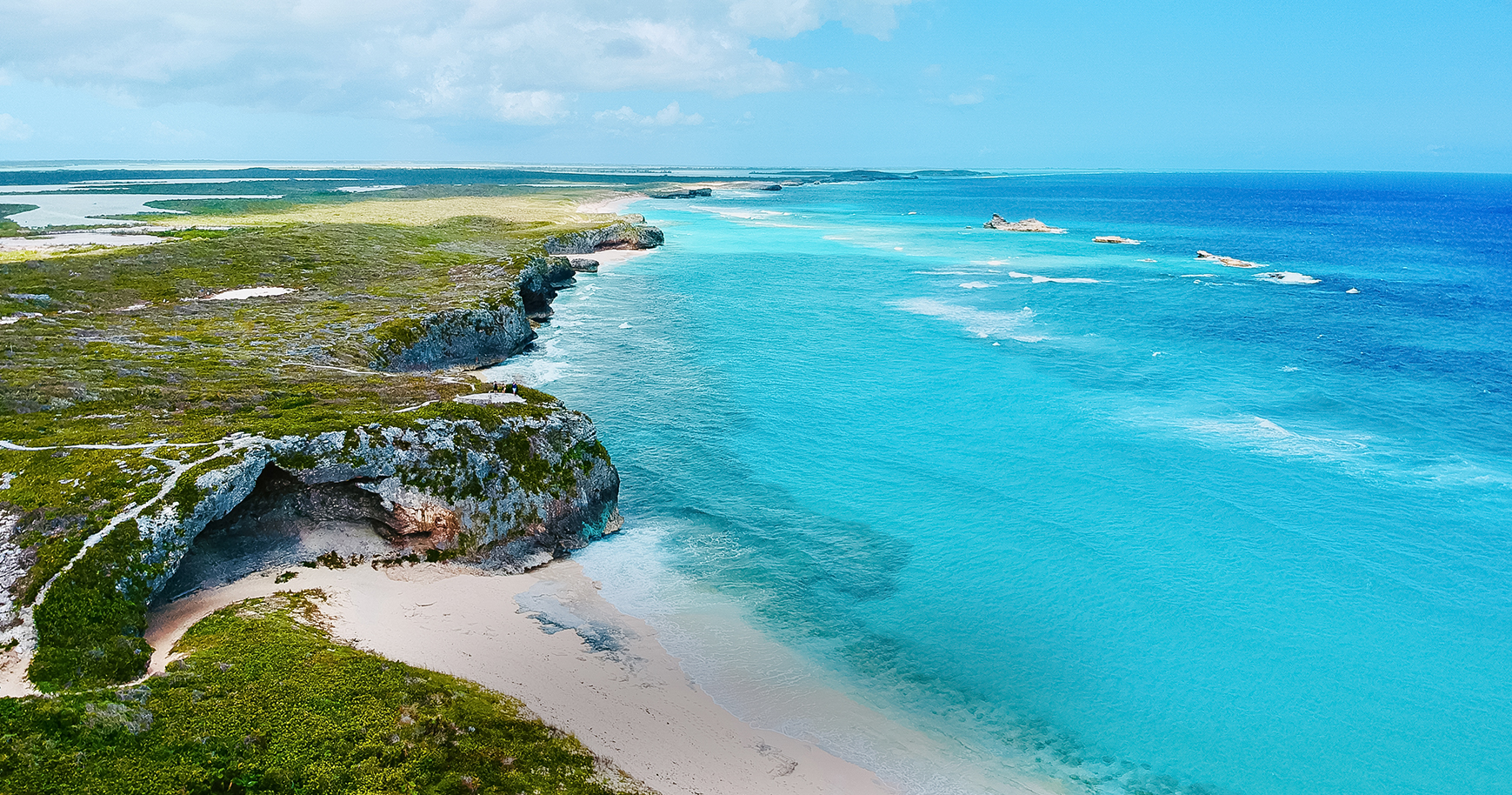 a beach with rocks and grass