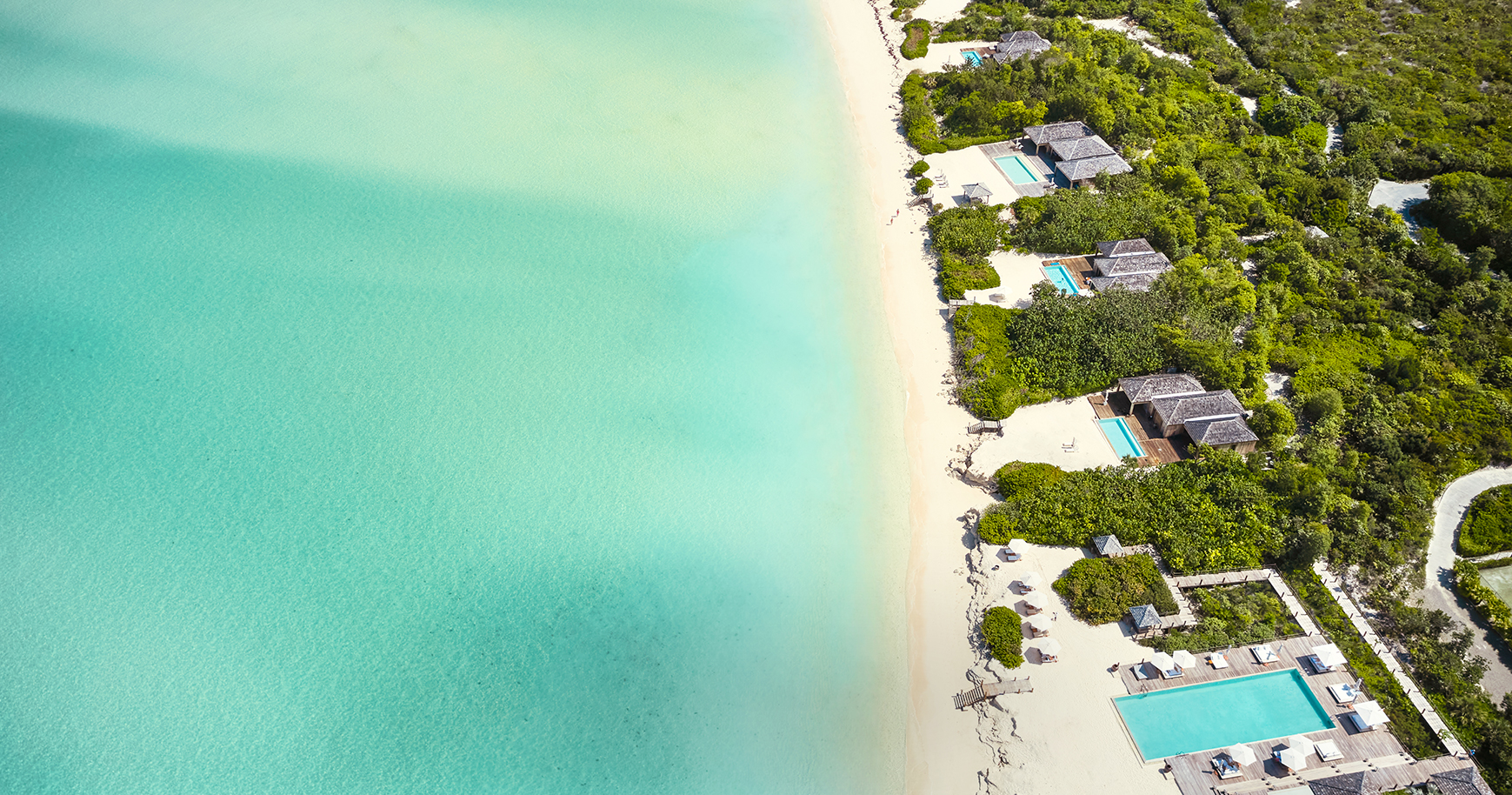 a beach with trees and a pool