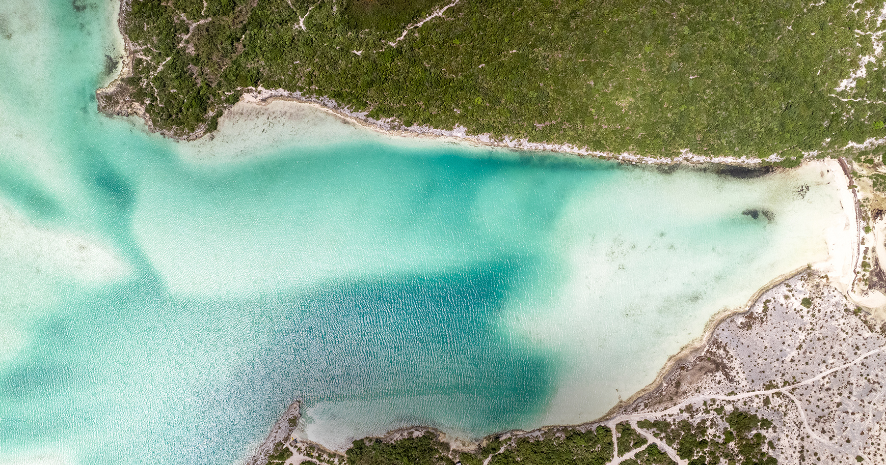 a blue water surrounded by trees