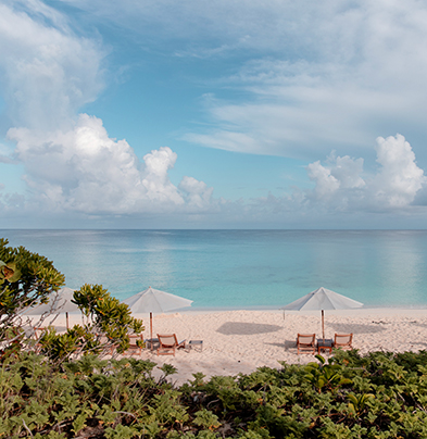 a beach with chairs and umbrellas