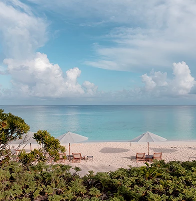 a beach with chairs and umbrellas