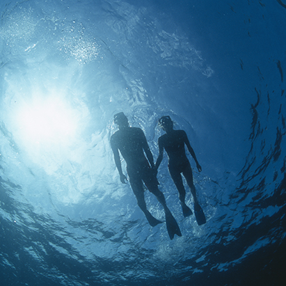a couple of people swimming under water