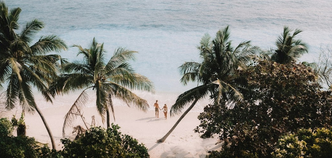 a couple standing on a beach with palm trees