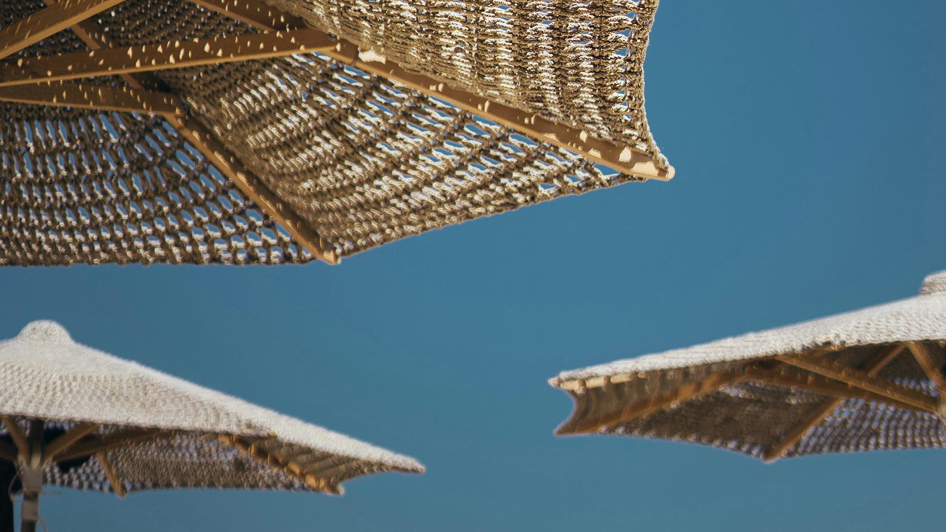 a group of umbrellas against a blue sky