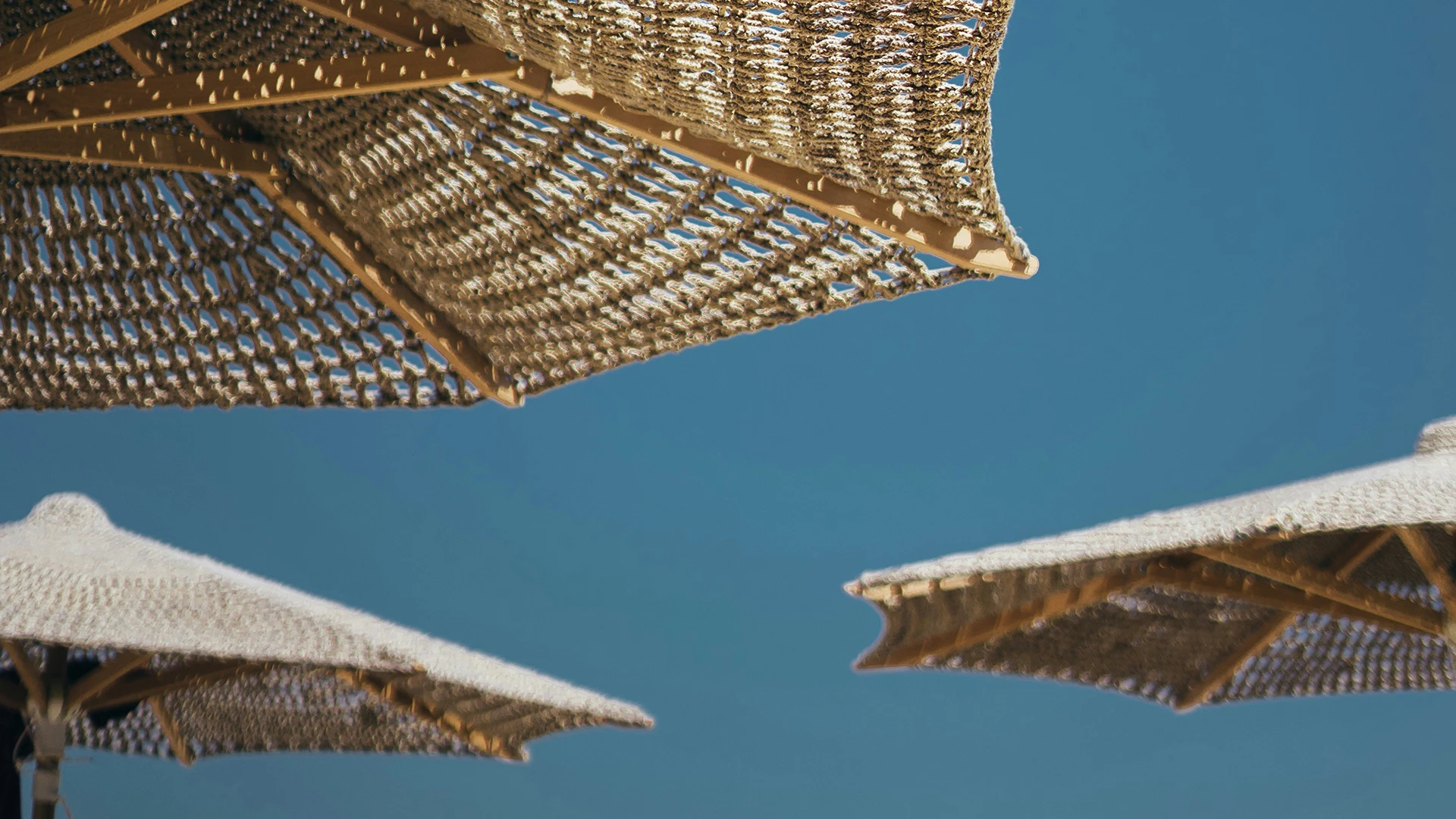 a group of umbrellas against a blue sky