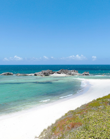 a beach with rocks and water