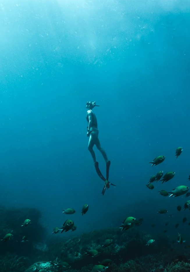 a man in a mask and fins underwater with fish