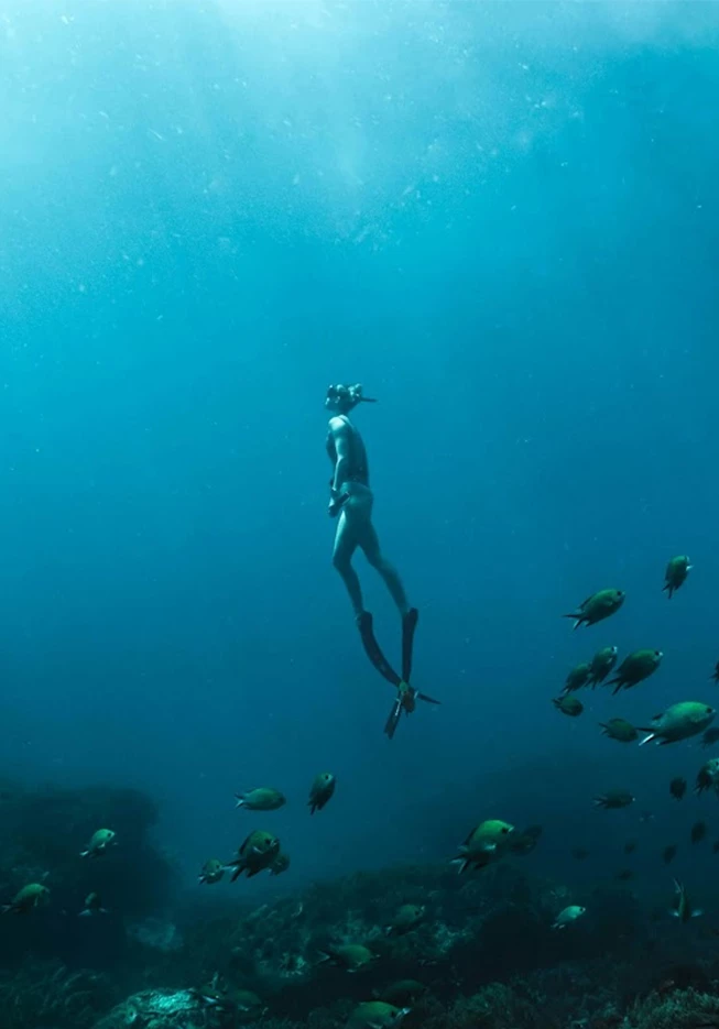 a man in a mask and fins underwater with fish