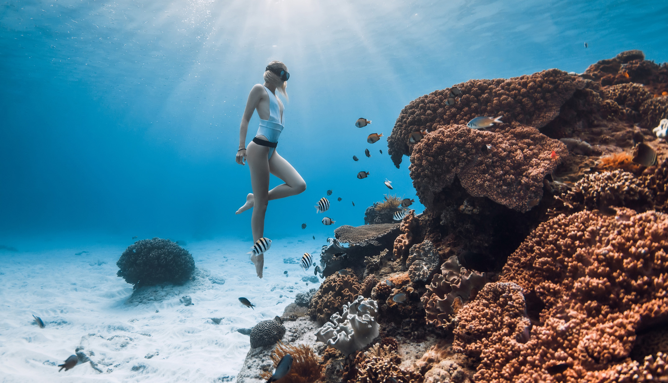a woman in a swimsuit and goggles swimming underwater with fish
