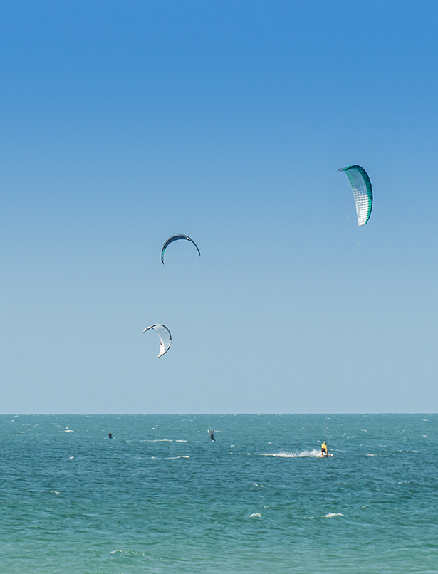 a group of people kite surfing in the ocean