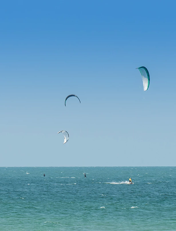 a group of people kite surfing in the ocean