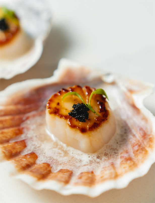 a scallop with a small plant on top