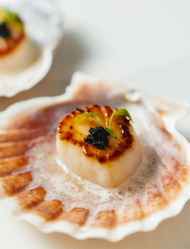 a scallop with a small plant on top