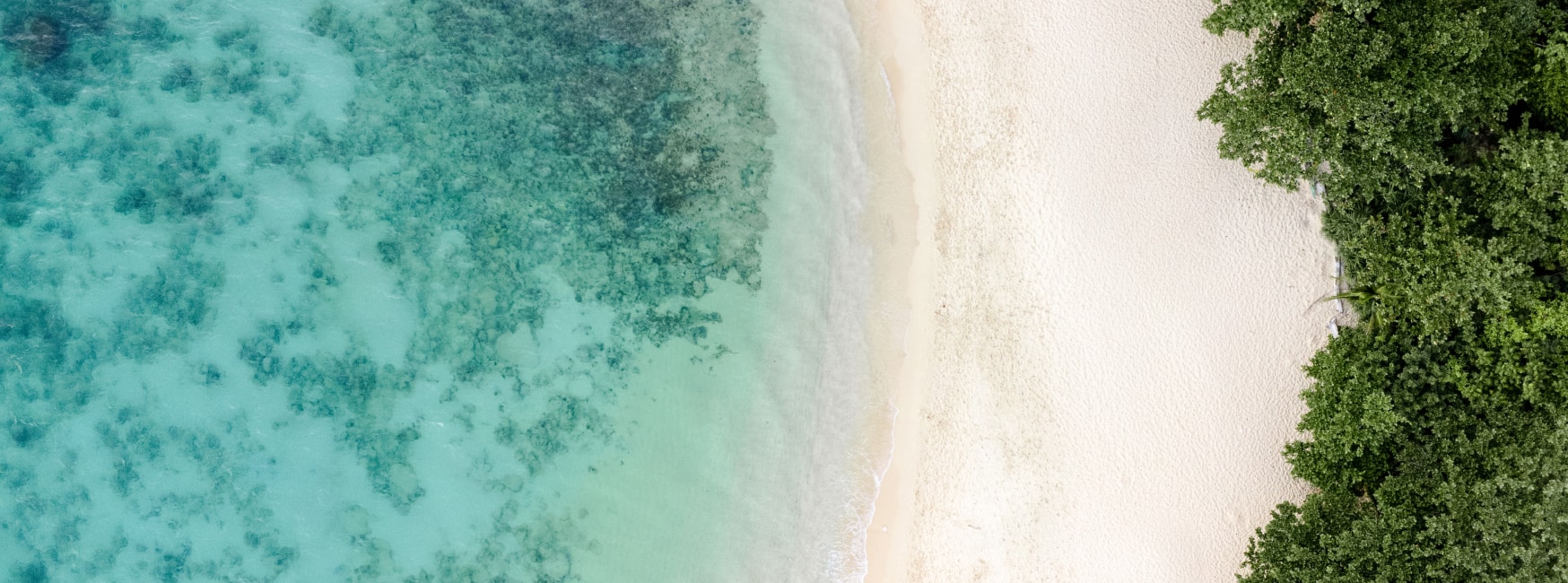 a beach with sand and water