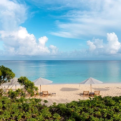 a beach with chairs and umbrellas