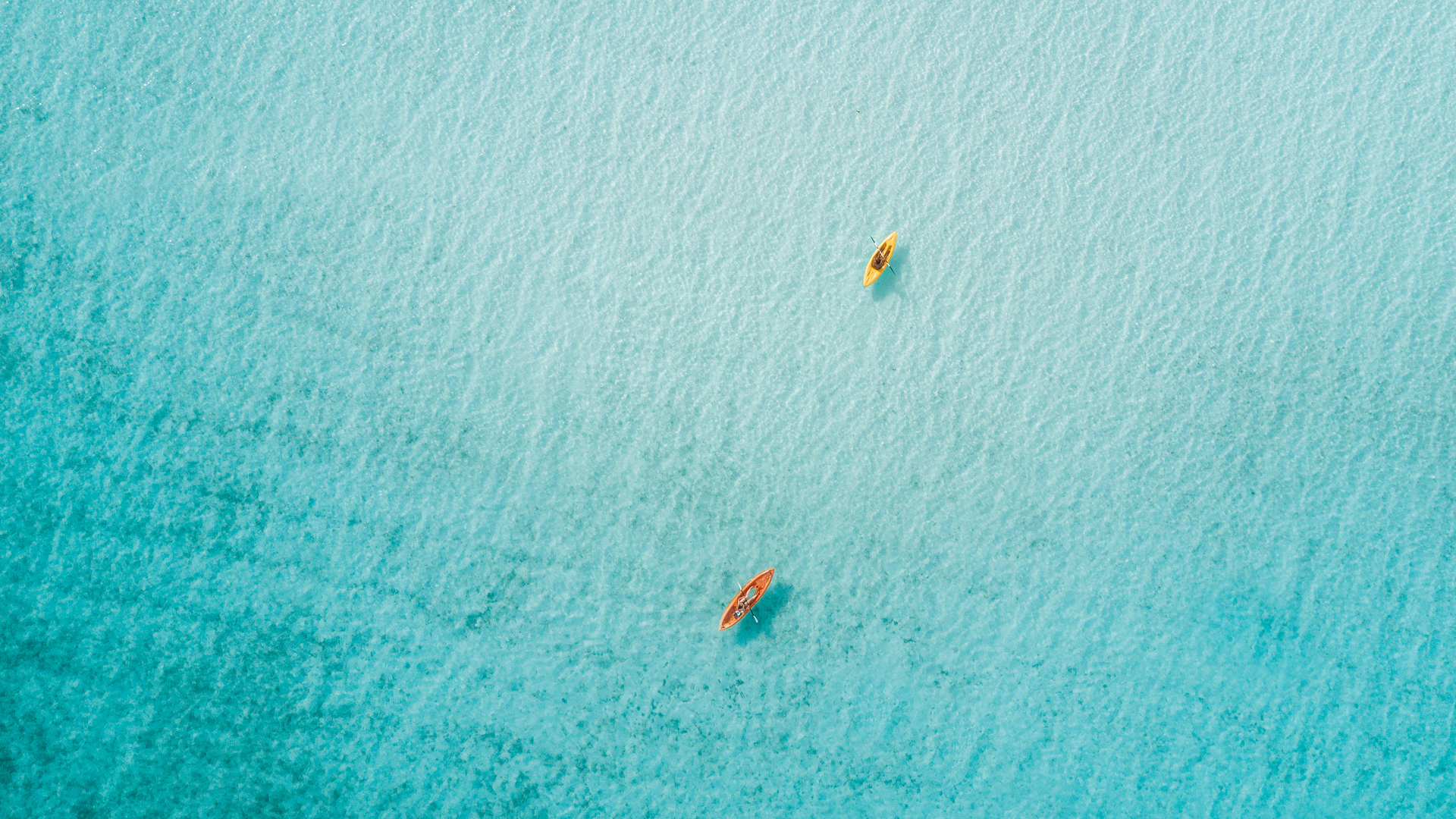 two kayaks in the water