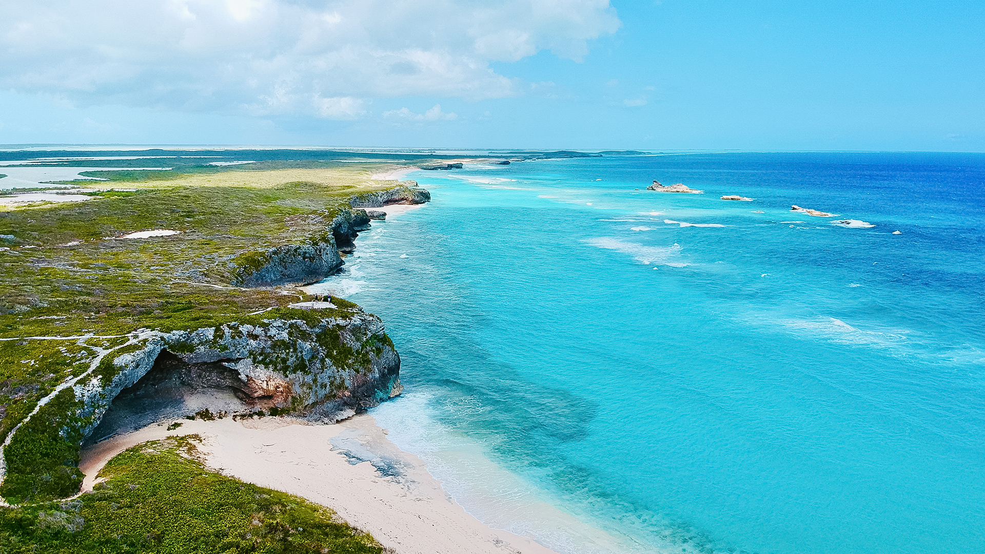 a beach with rocks and grass