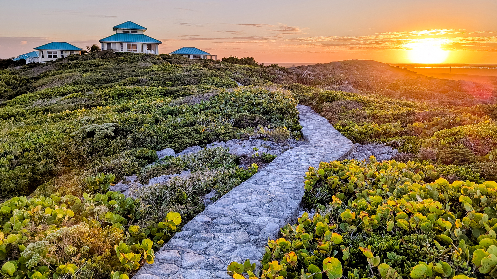 a stone path leading to a house