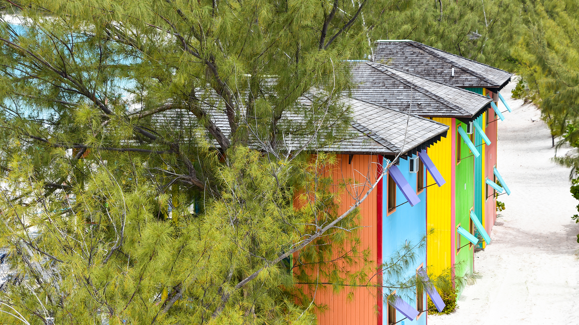 a colorful building with a tree