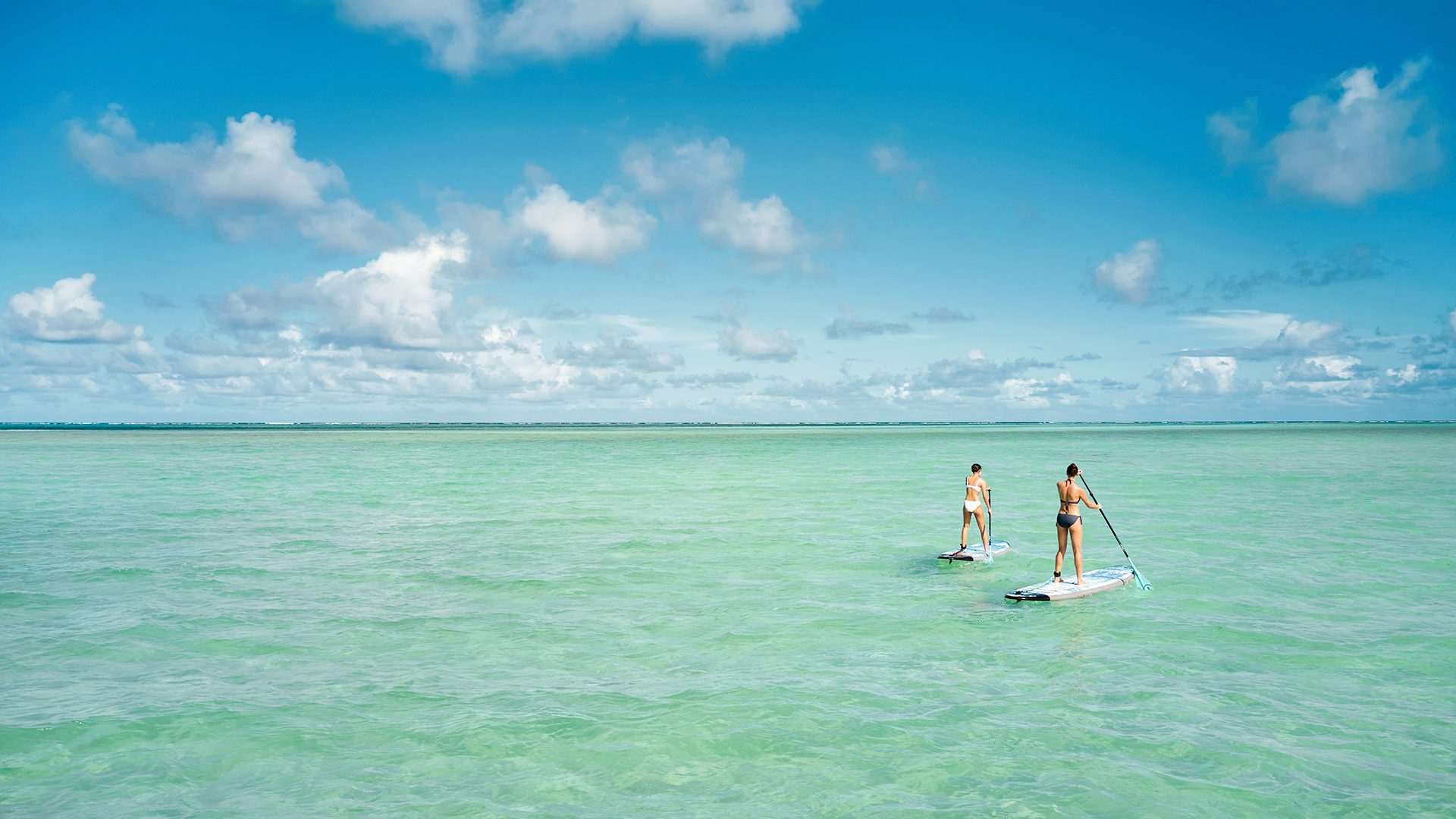 a couple of women on paddle boards in the ocean