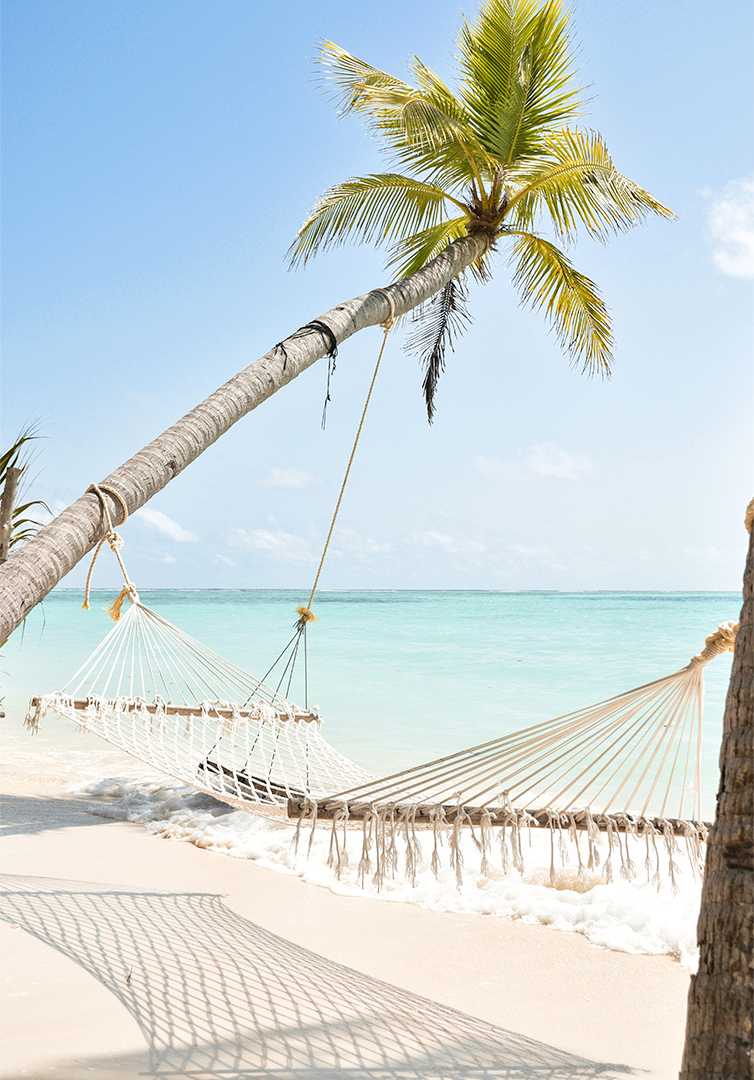 a hammock between palm trees on a beach