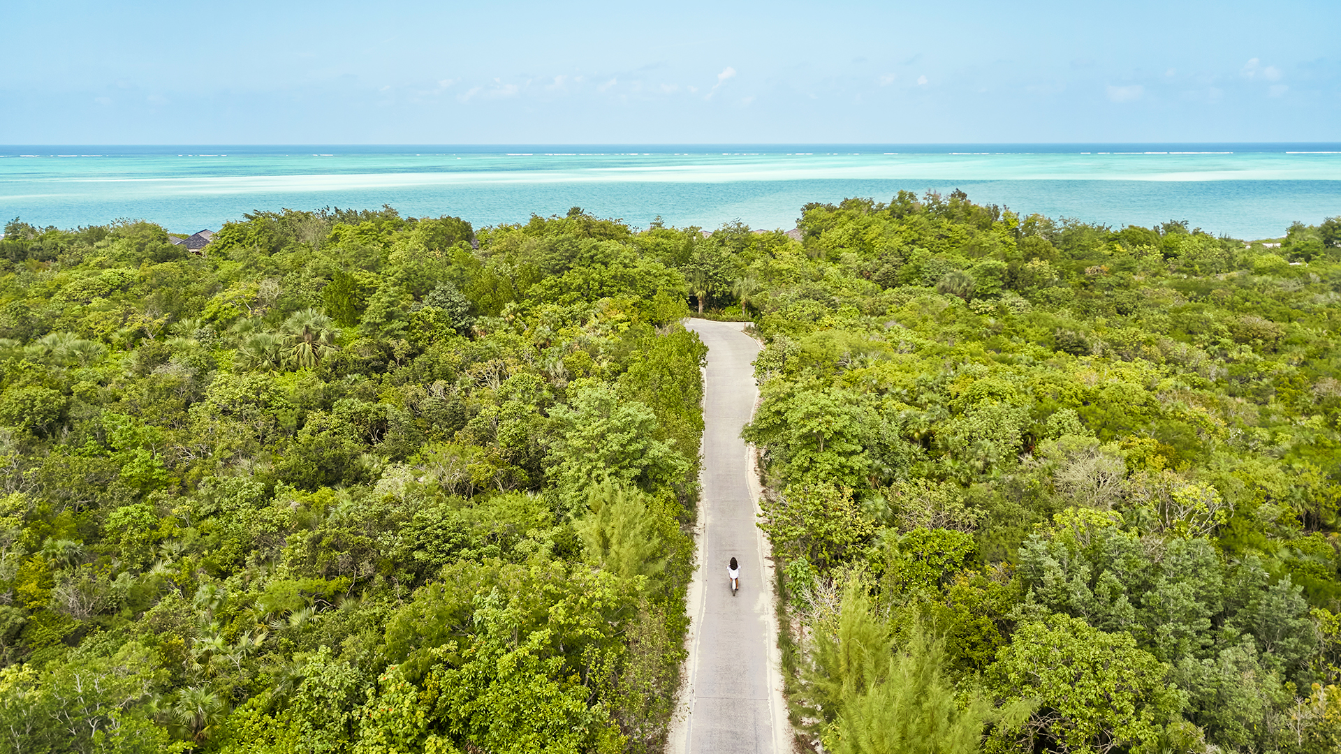 a person running on a road surrounded by trees