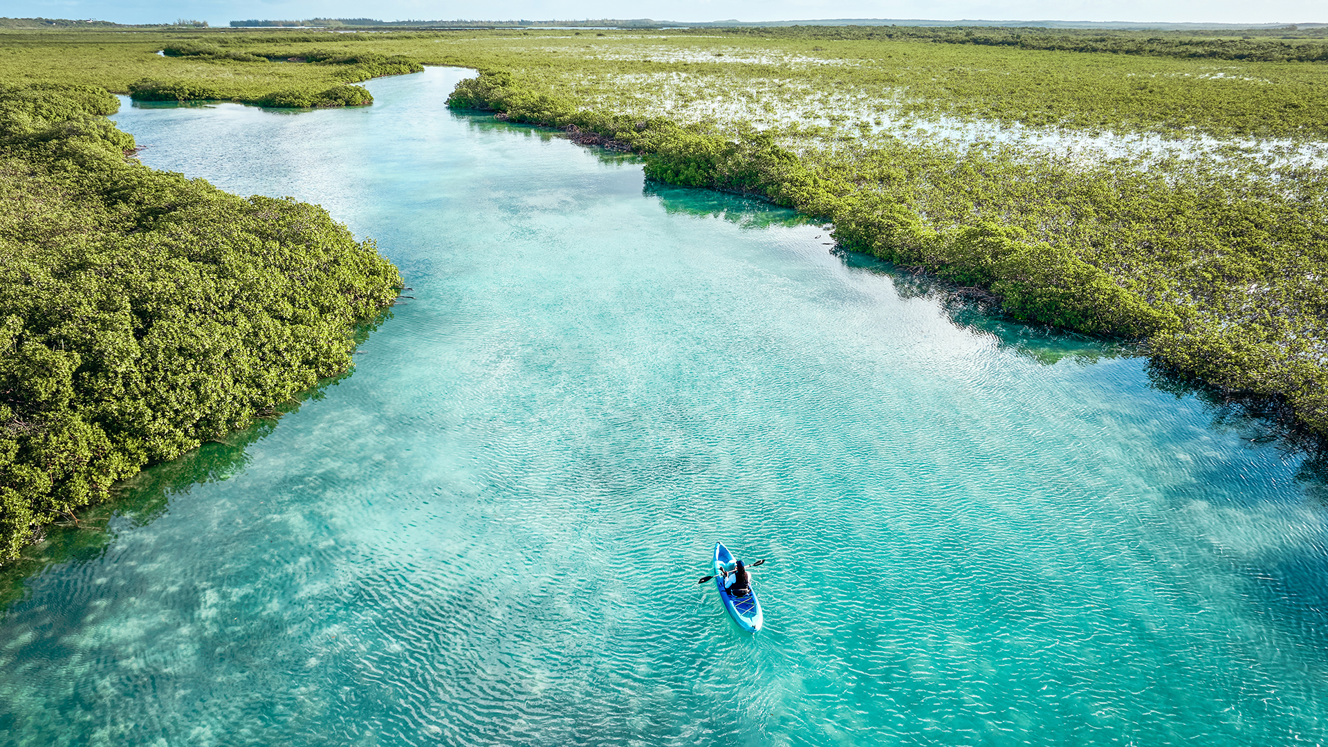 a person in a kayak in a river surrounded by mangroves