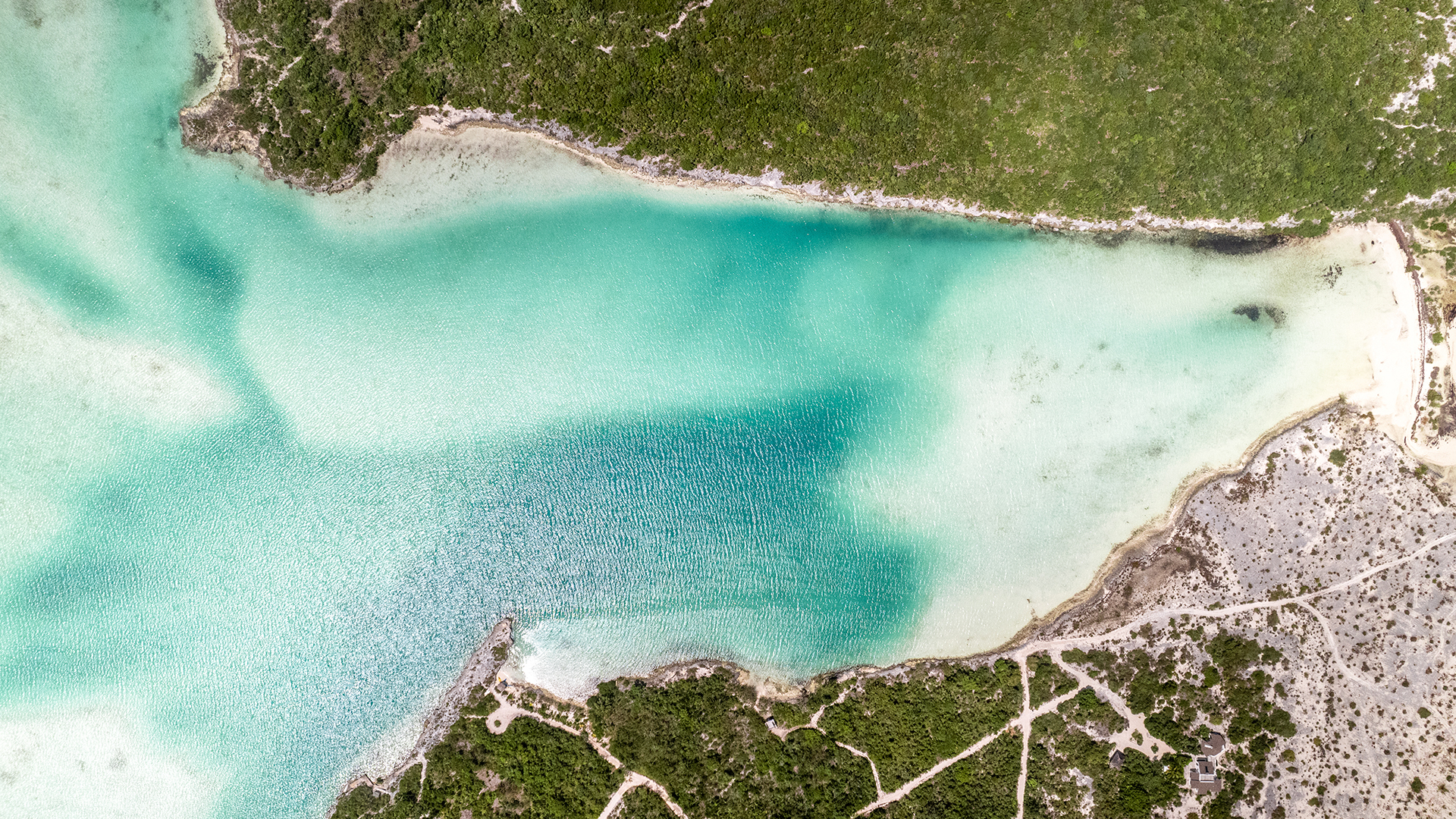 a blue water with trees around it