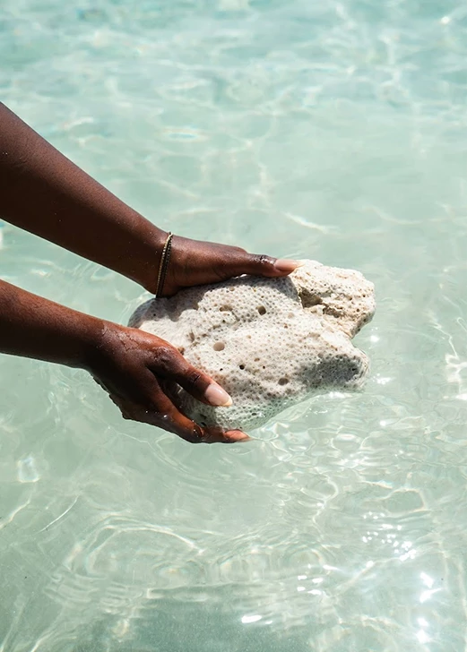 a person holding a white coral in water