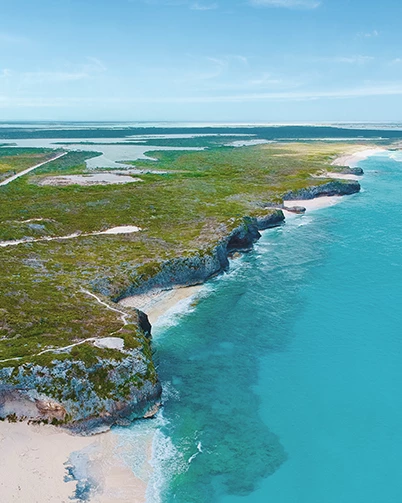 a aerial view of a beach and cliffside