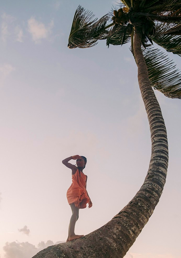 a person standing on a palm tree