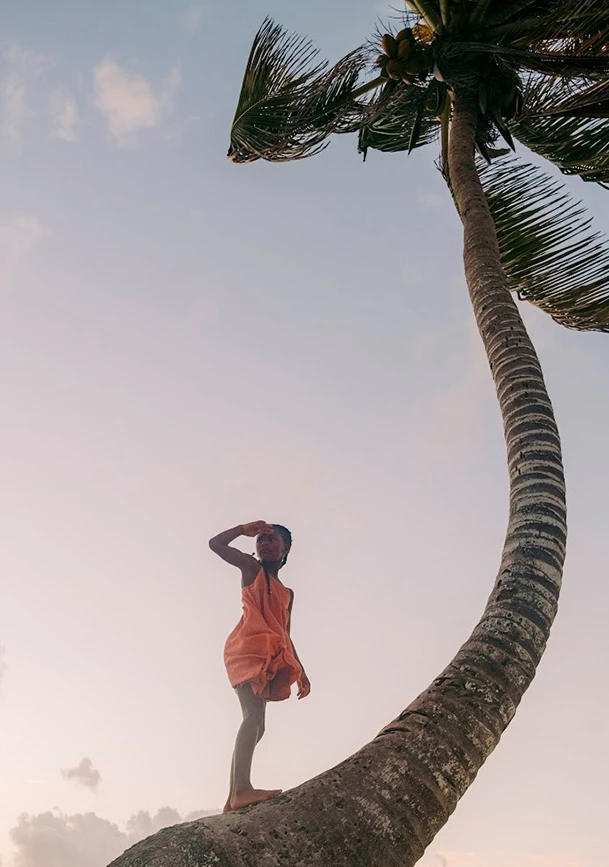 a person standing on a palm tree