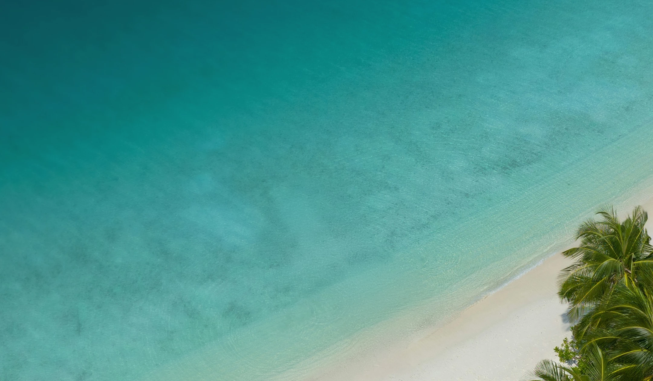 a beach with clear blue water