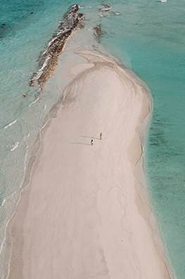 a couple of people on a sandy beach