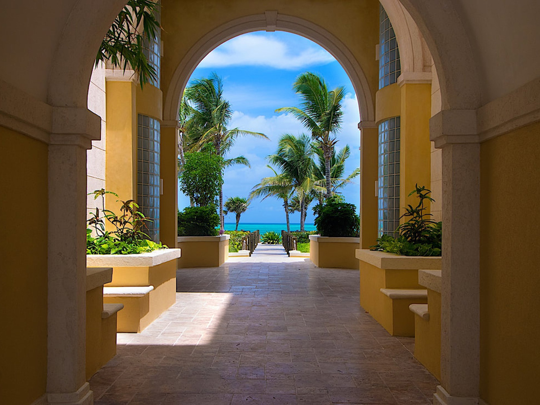 a walkway with palm trees and a blue sky