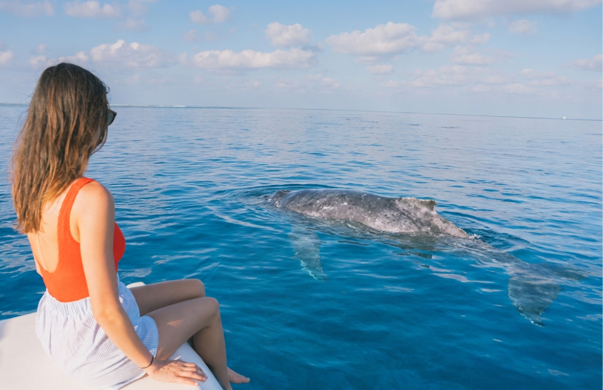 a woman sitting on a boat looking at a whale in the water