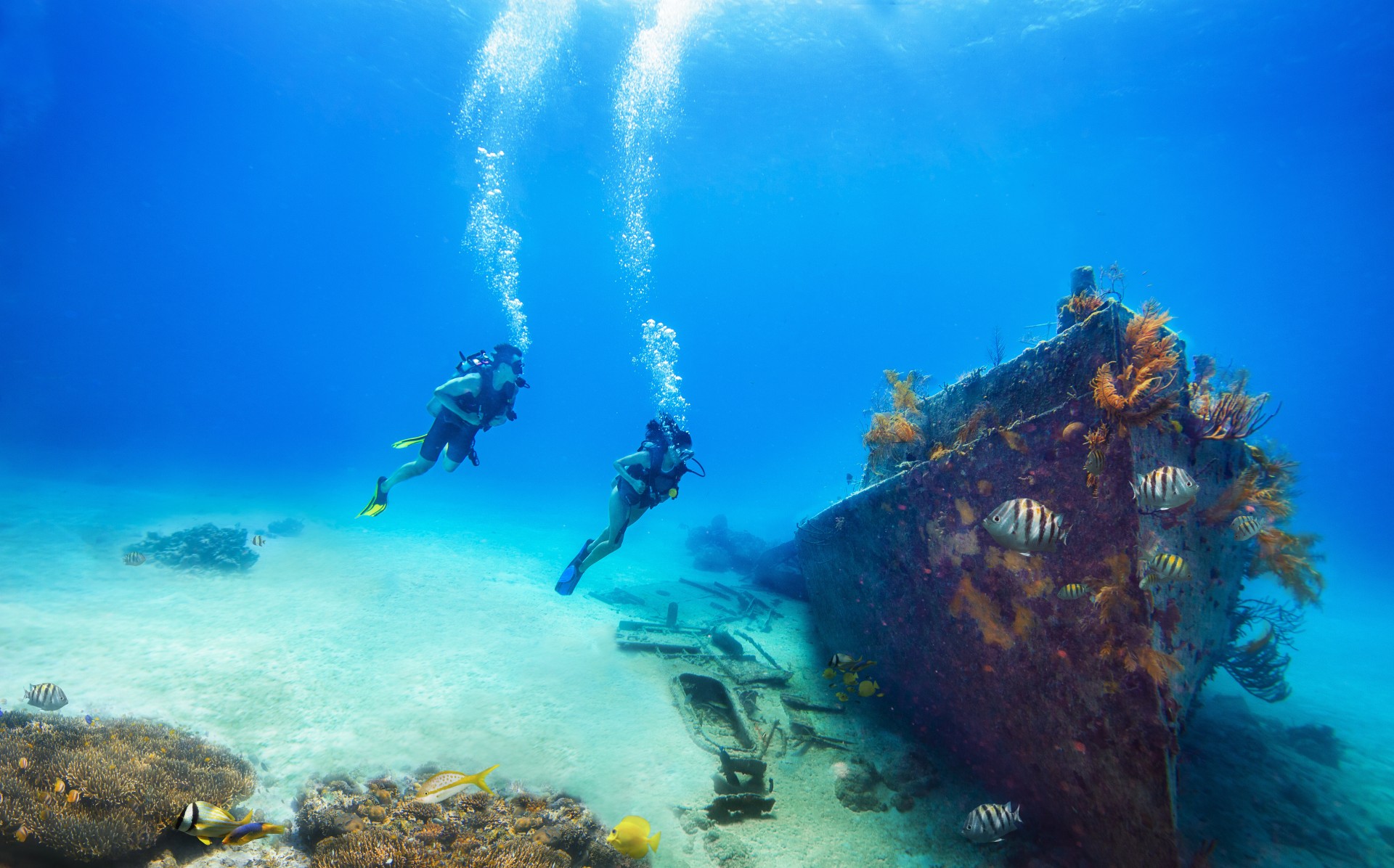 scuba divers swimming under water