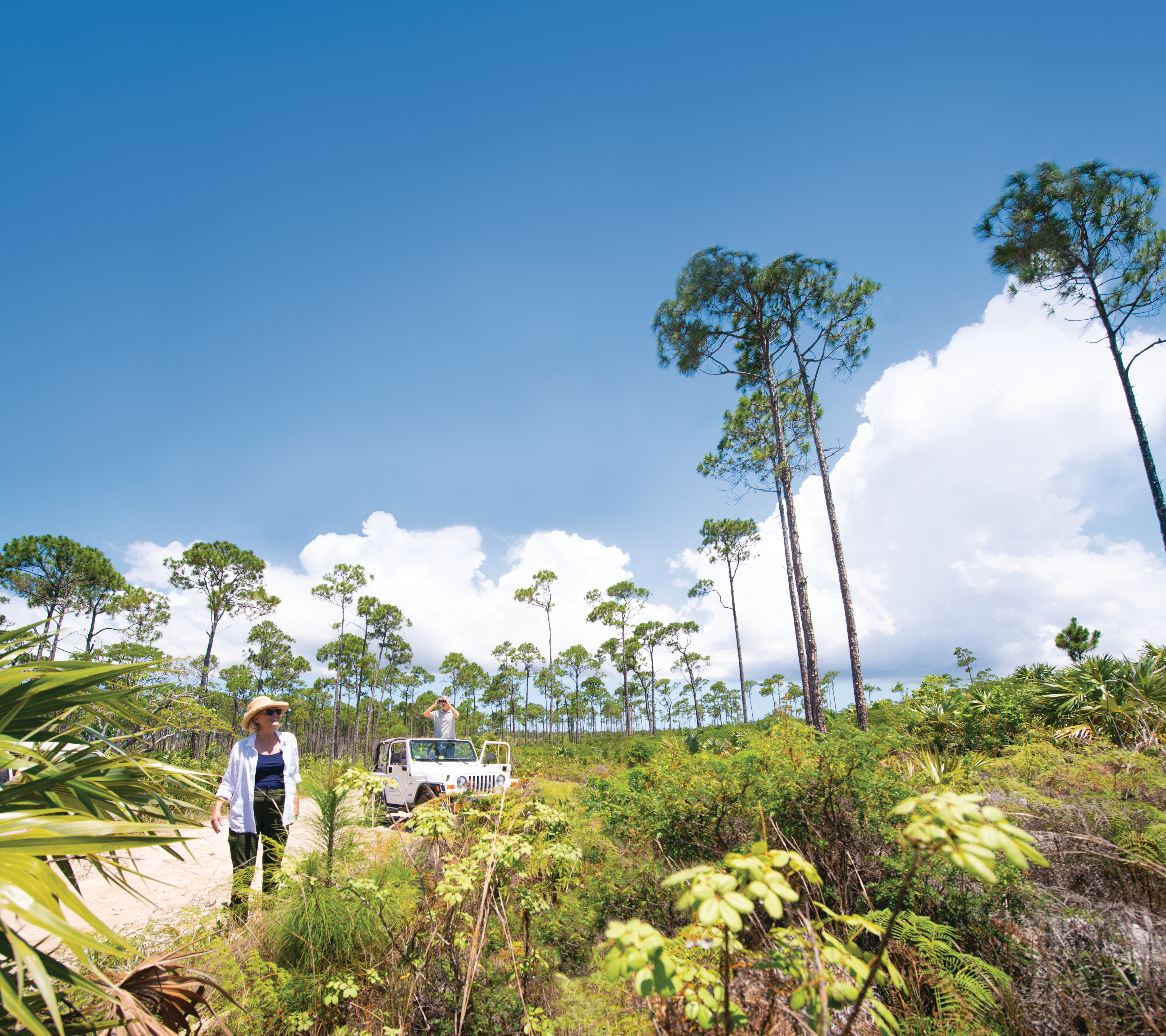 54 bmot freeport edit