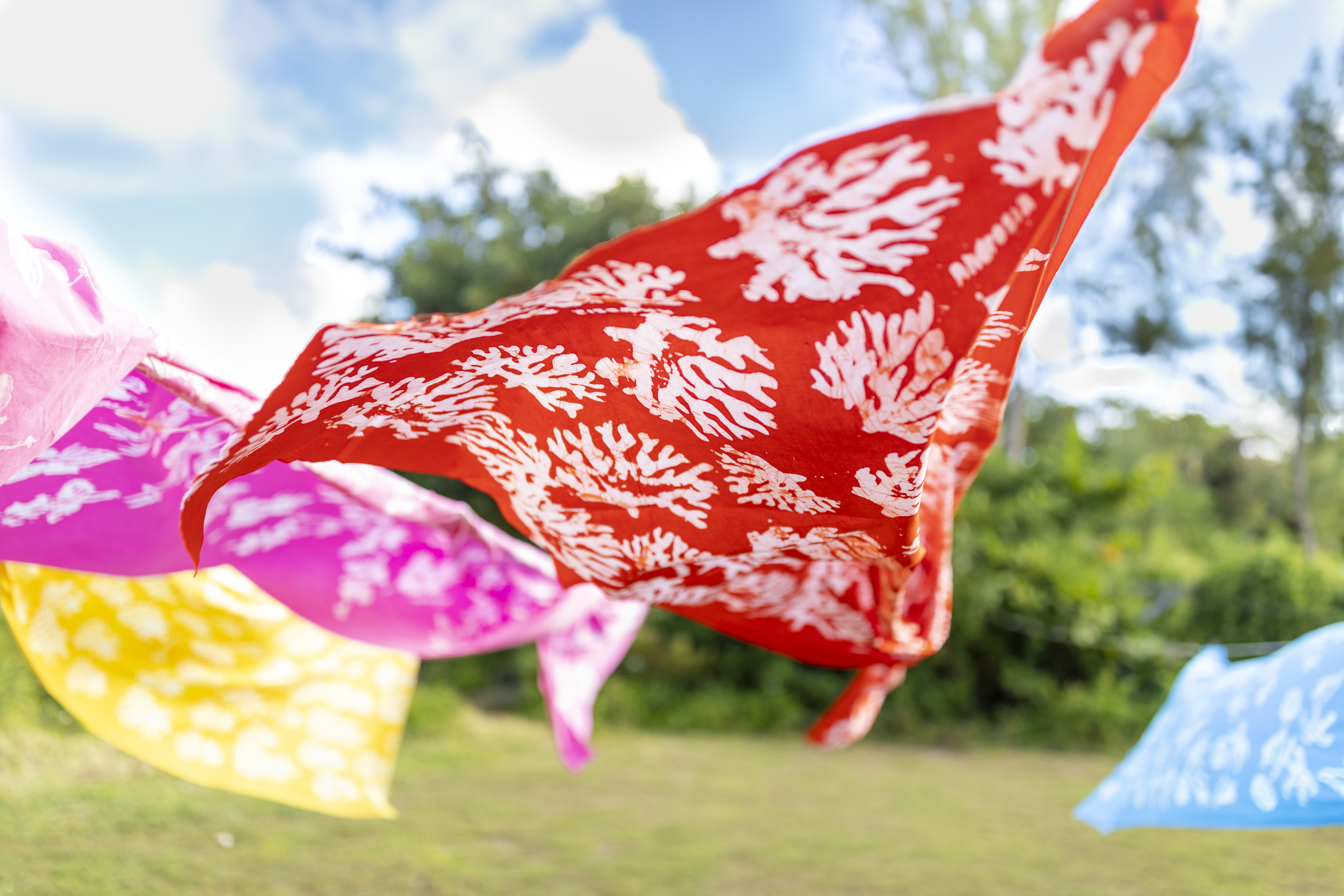 bmot andros androsia 2 1