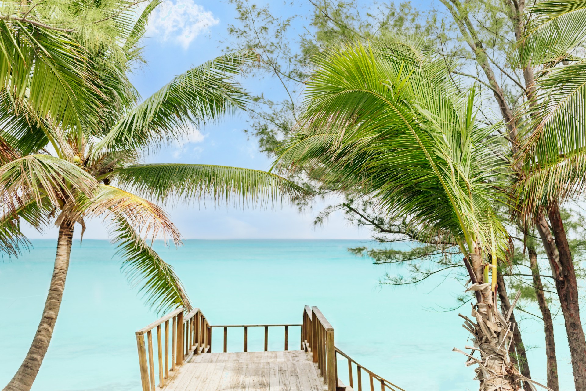 a wooden deck with palm trees and blue water
