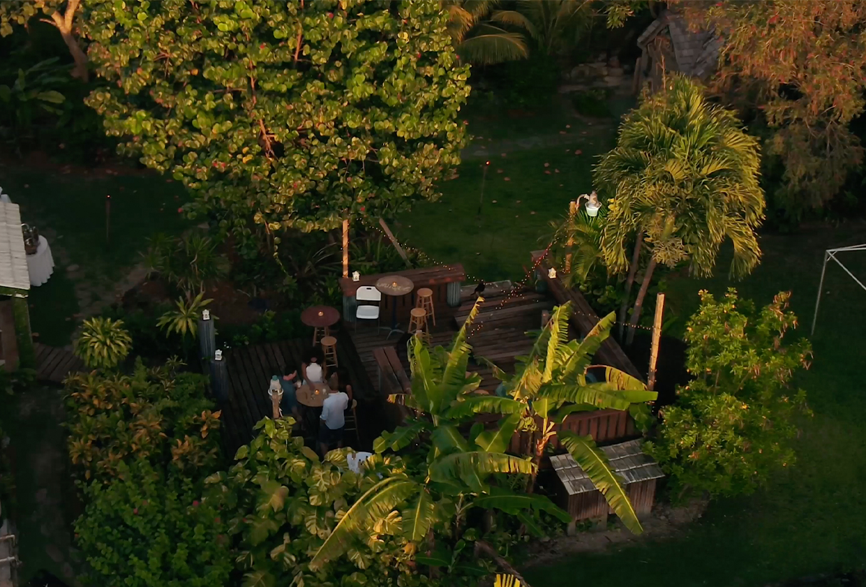 a group of people sitting at a table in a backyard with lots of trees