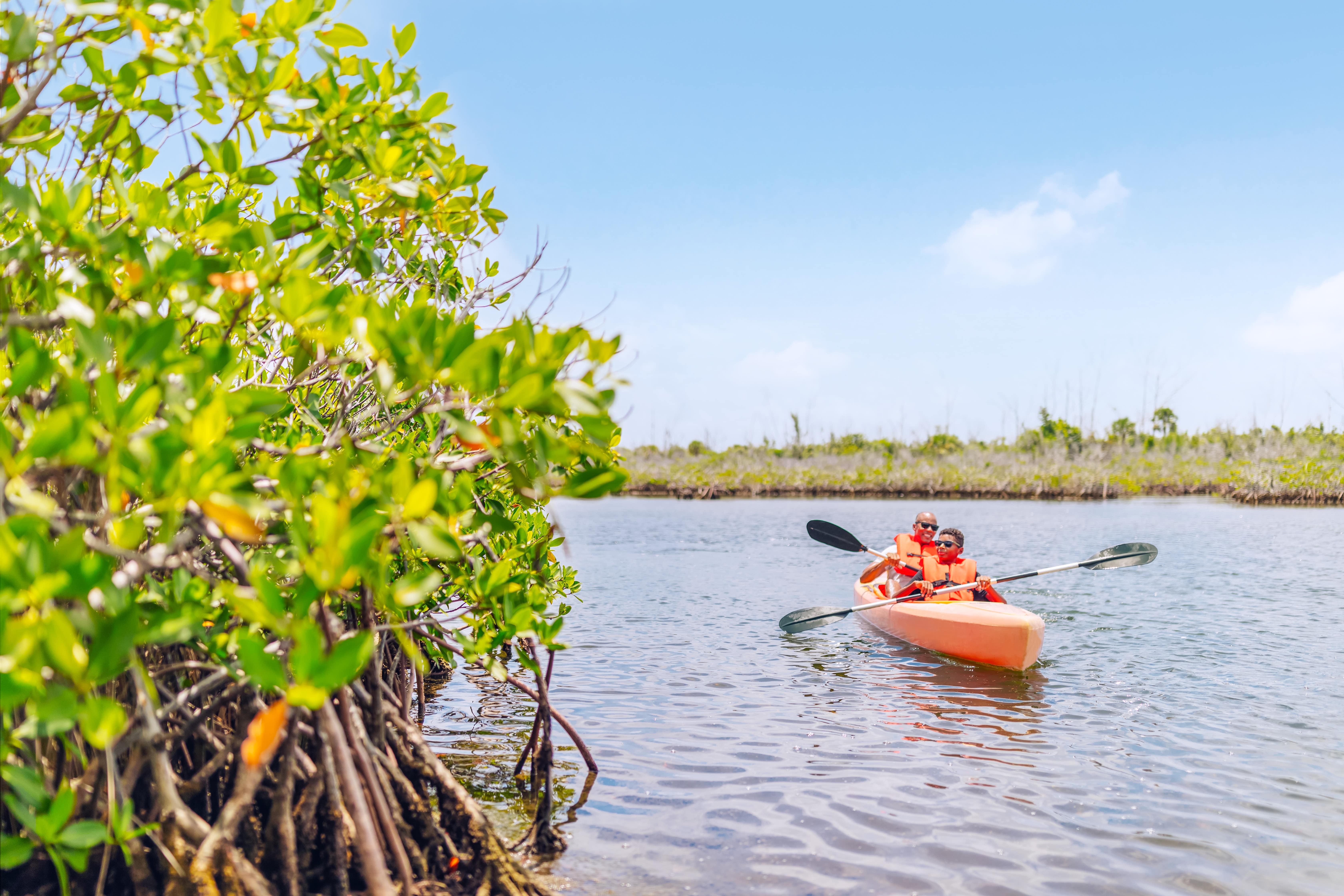people in a kayak on a river