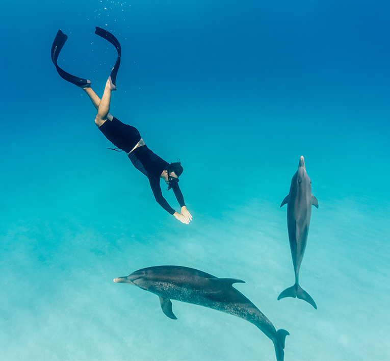 a woman swimming with dolphins
