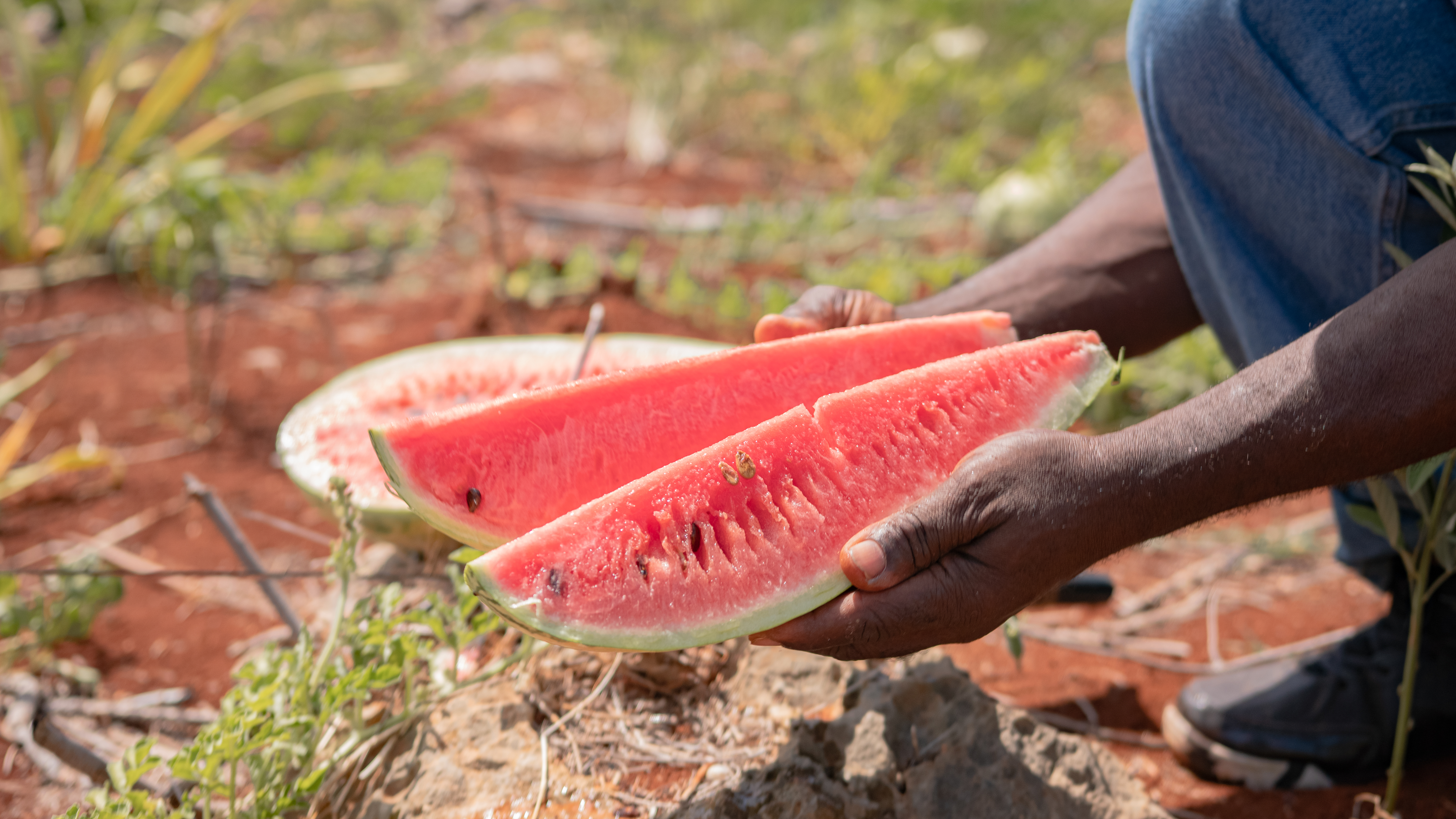 bmot_cat_island_farming_2022_geotourism