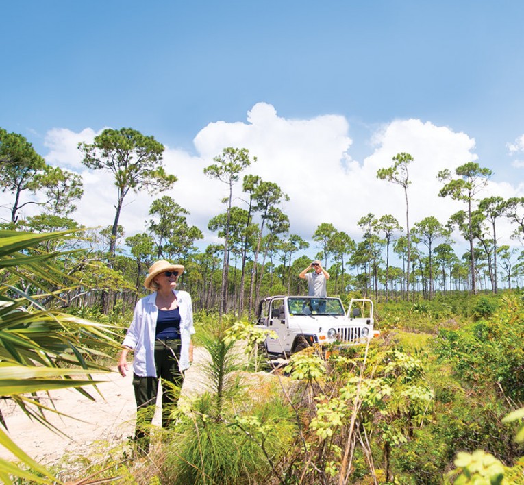 woman looking into the sky in nature with jeep in the background 