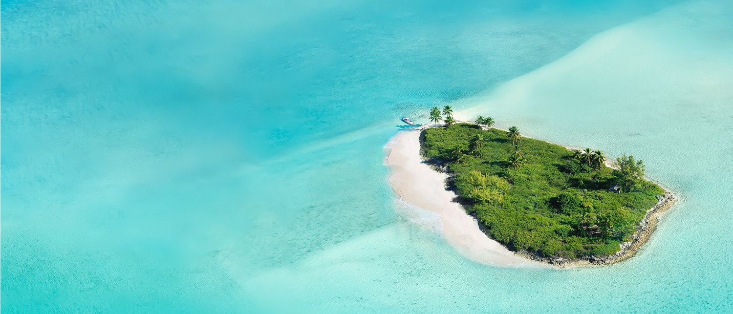 an island with trees in the ocean