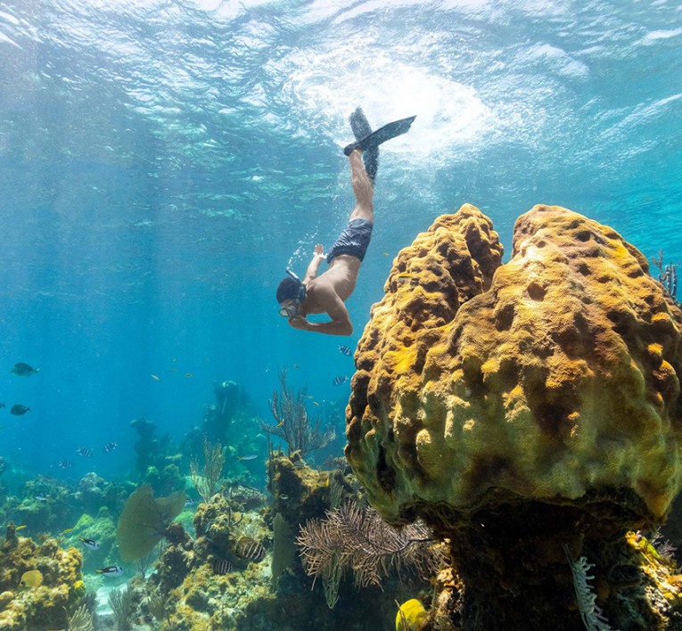 a man swimming under water with fins and corals