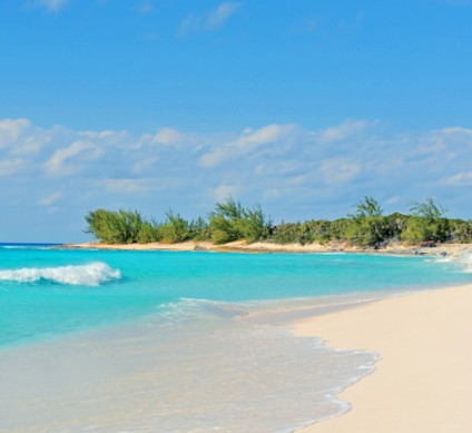 a beach with blue water and trees