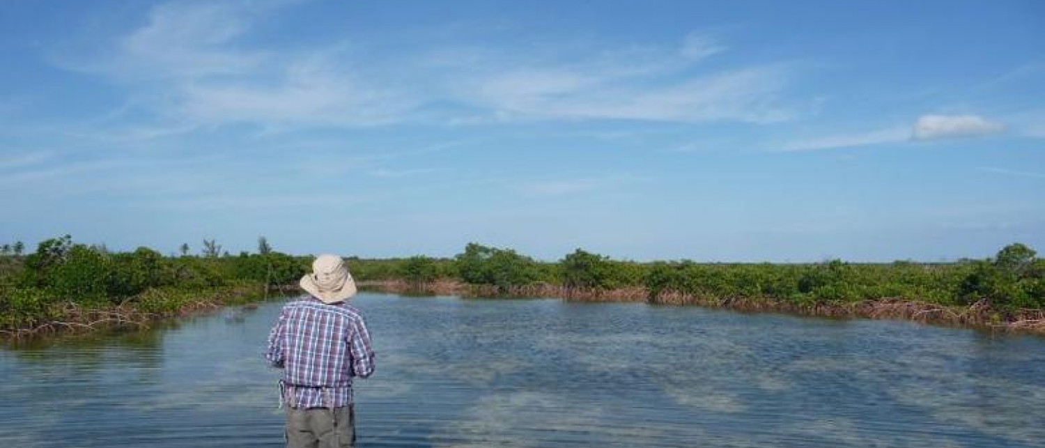 Acklins Creekside Bonefish Lodge